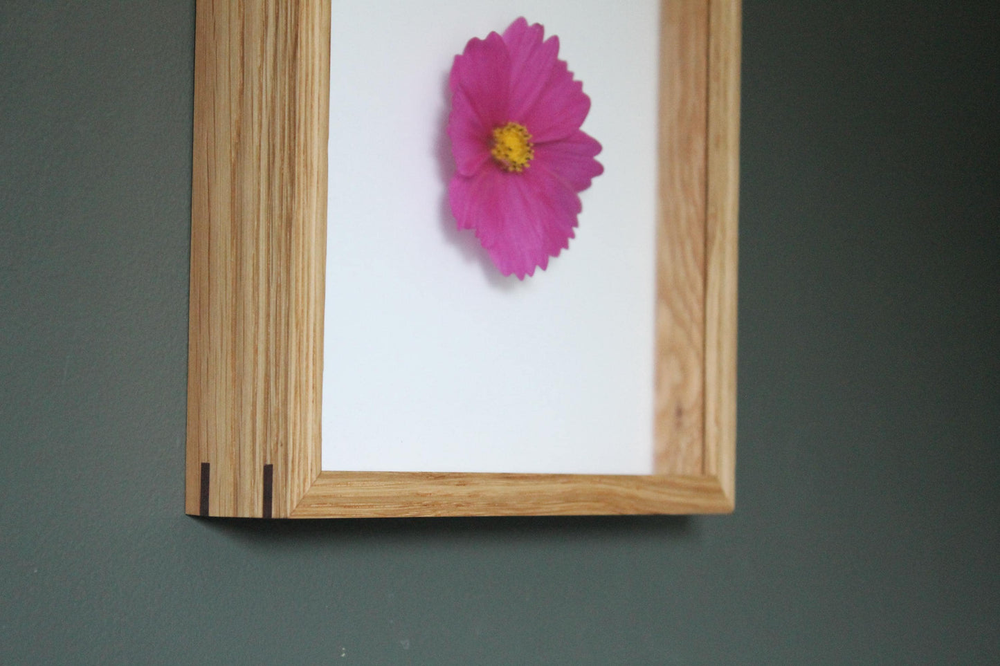Shadowbox Frame - 3/4" Display Depth - White Oak