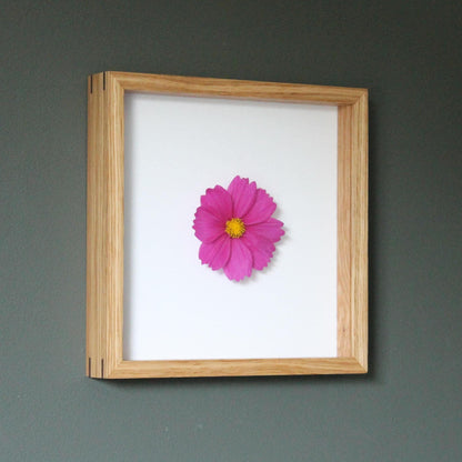 Shadowbox Frame - 3/4" Display Depth - White Oak